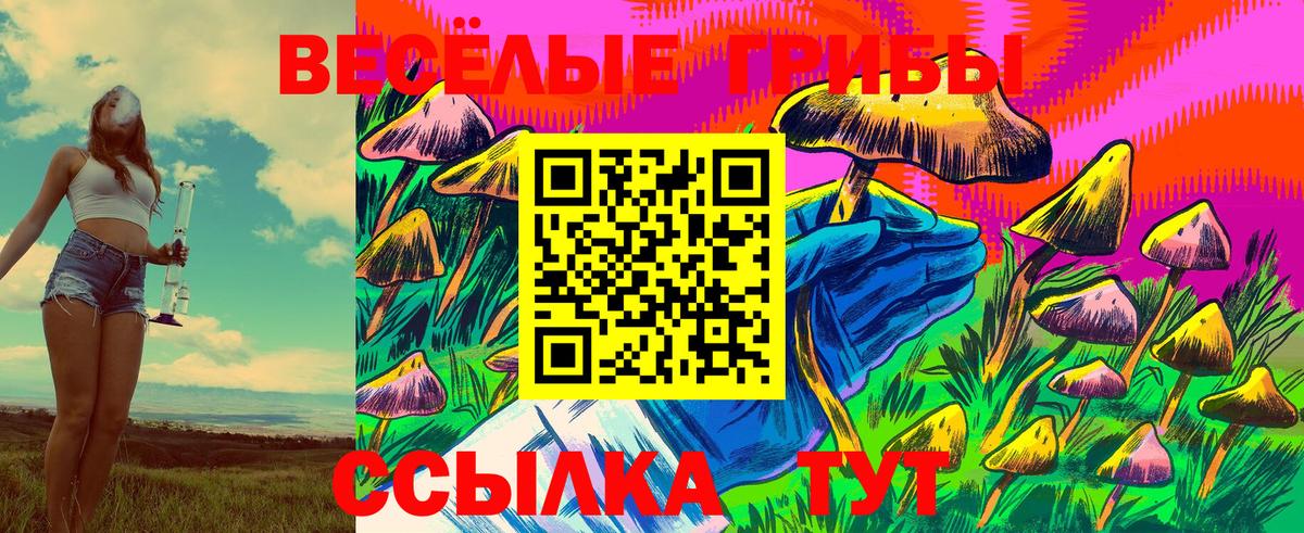 Малгобек  Псилоцибиновые грибы ЛСД  Вход с VPN 