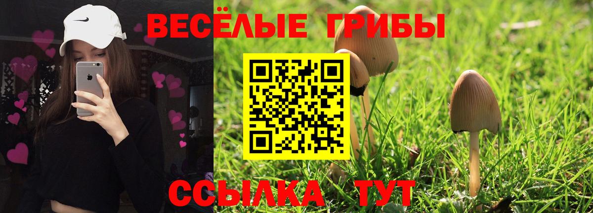 Галлюциногенные грибы ЛСД Малгобек